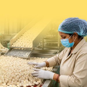 Makhana supplier