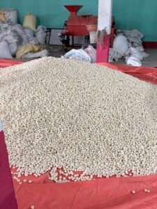 makhana supplier