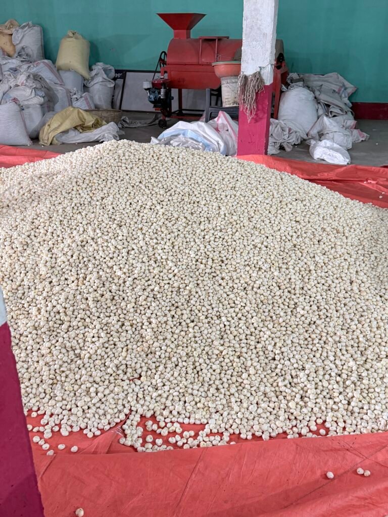 makhana supplier